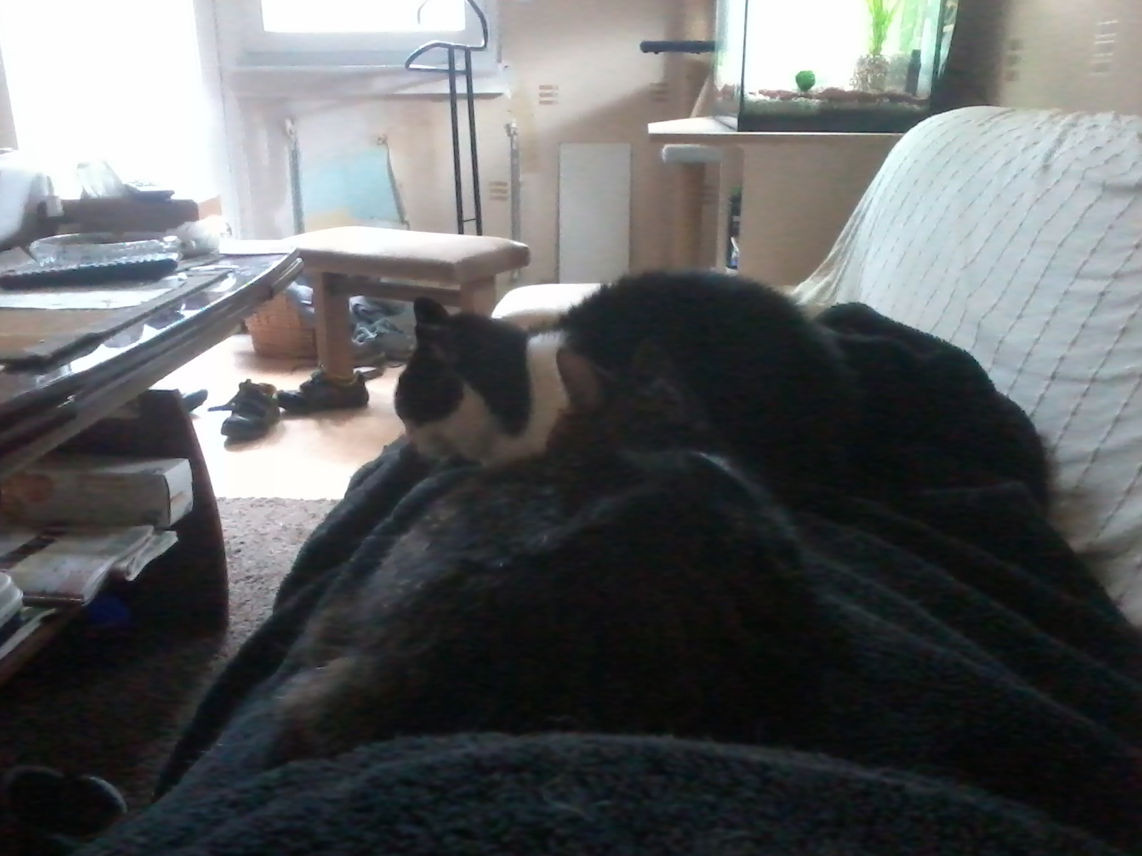 2013-05-20 11.58.51.jpg